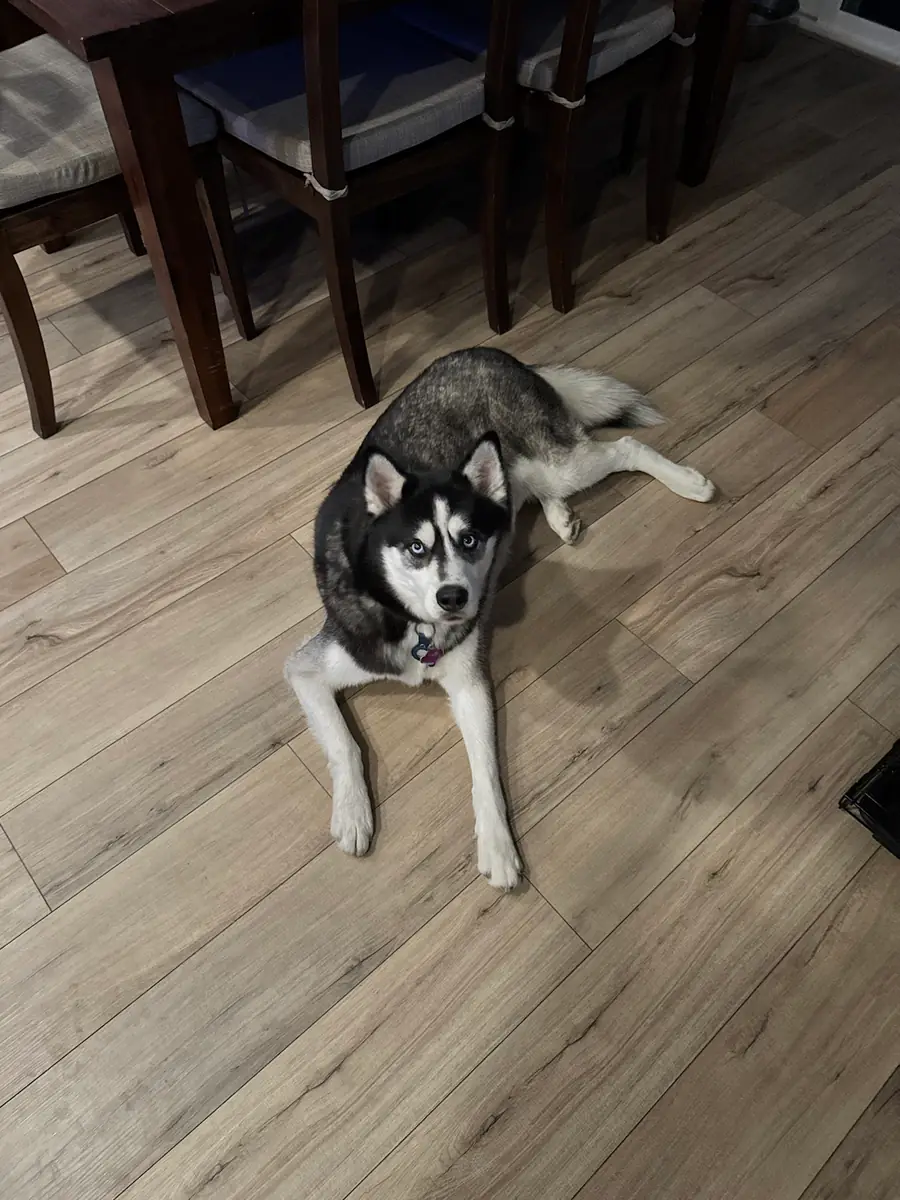 Aki