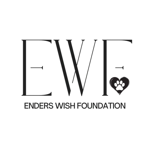 Ender's Wish Foundation