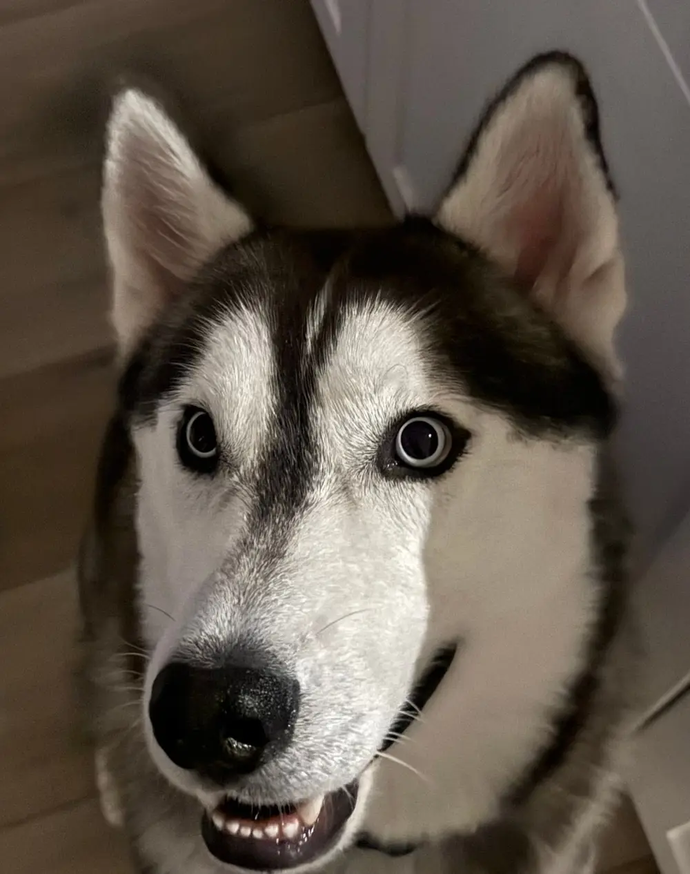 Samson